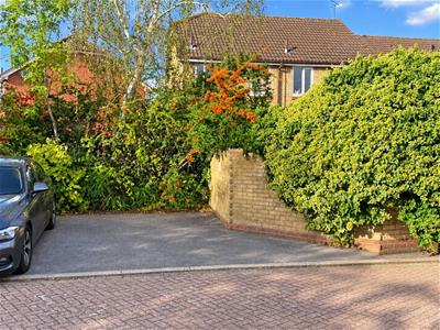 Picture 16